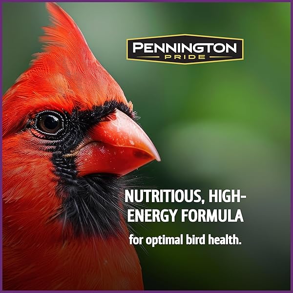 PENNINGTON PRIDE SONGBIRD NUT & FRUIT BLEND, WILD BIRD SEED FOR OUTSIDE FEEDERS, ADVANCED NUTRITION FORMULA FOR BIRD HEALTH, 10-LB. BAG