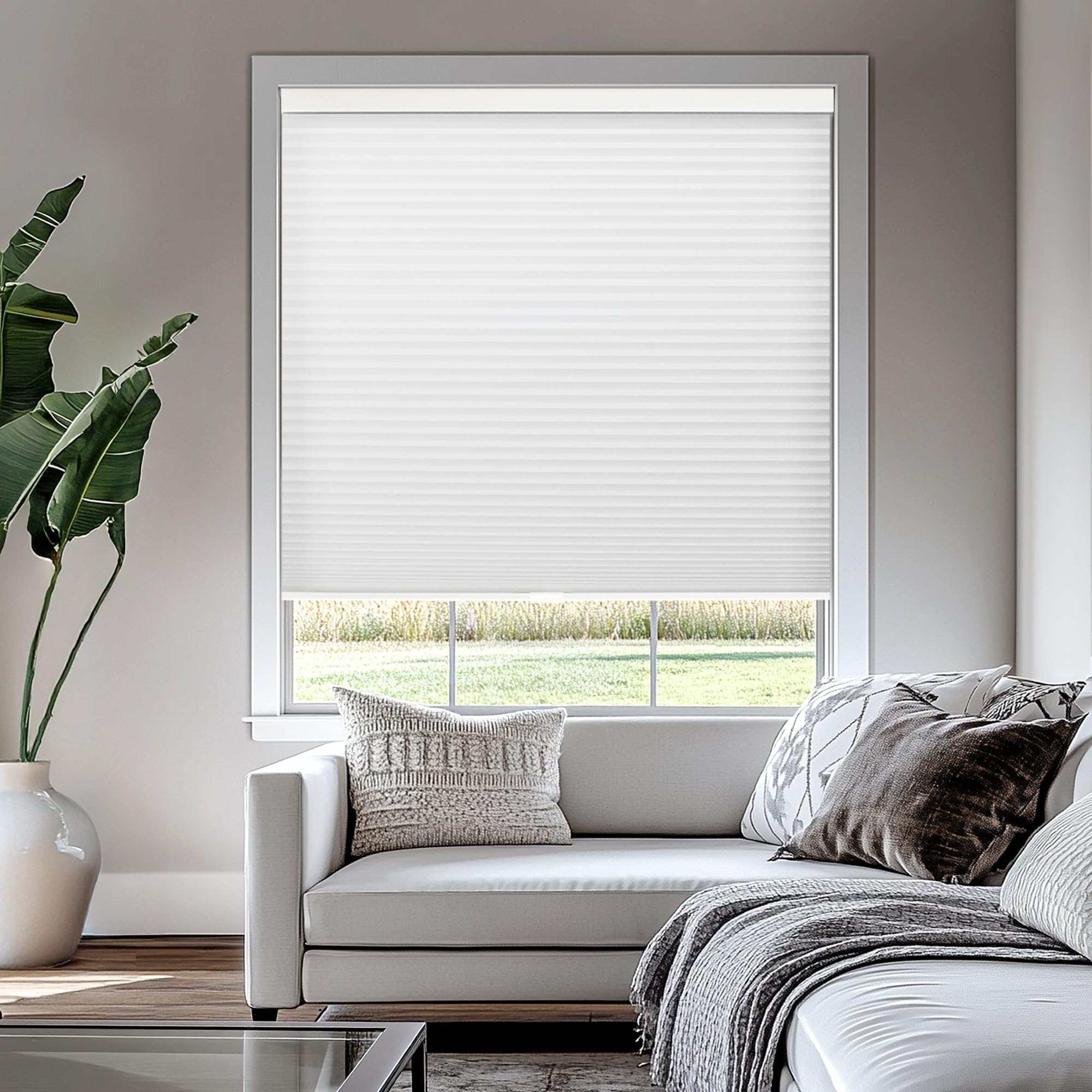 CHICOLOGY Cordless Cellular Shades Privacy Single Cell Window Blind, 30"W X 72"H, Morning Mist — image 1