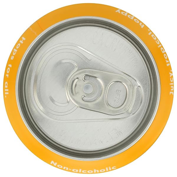 HOP WTR MANGO SPARKLING HOP WATER, 12 FZ