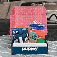 Eco-Friendly Goodie Box | Choose Your Schedule | Natural Treats, Toys, Chews | Monthly | Small Dog
