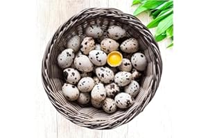 DAILY BREAD HOMESTEAD FARM FRESH Quail Eggs *Laid in the U.S.* Hormone Free; Non-GMO - (12+ Ct) *Eating Eggs*