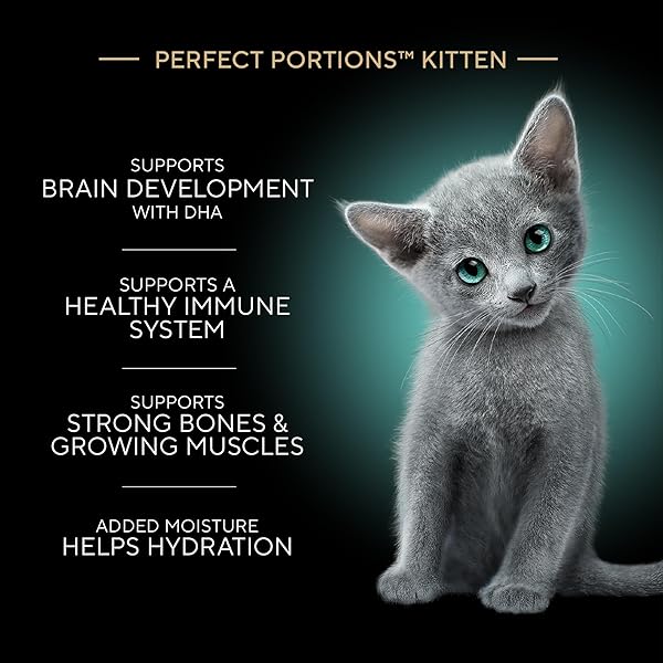 SHEBA PERFECT PORTIONS KITTEN WET CAT FOOD PATE CHICKEN ENTREE AND SALMON ENTREE, 2.6 OZ. TWIN-PACK TRAYS (12 COUNT, 24 SERVINGS)