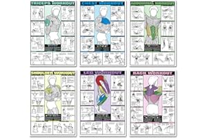 ARESINFOR 6PCS workout chart posters for a home gym， oil on canvas gym decor fitness dumbbell exercise motivational posters for home gym Exercise Charts Incl Triceps, Shoulder,Leg, Back,Chest, Abdominal workout