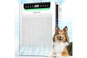 XENONLAB Air Purifiers for Home Large Room, Cover Up to 2600 Ft² with Washable Filters, Powerful Turbo Mode, PM2.5 Air Quality Display, 22dB Sleep Mode, Air Cleaner for Pets Hair, Smoke, Odors, HAP607, White