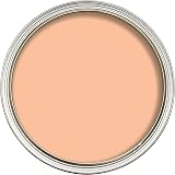 Leyland Granocryl Smooth Masonry Paint Sandstone 5L All Weather Protection view 2