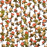 MARTINE MALL Flower Vines, 5 Strands 41Ft Rose Vines for Bedroom, Champagne and Orange Floral Garland for Room Birthday Wedding Party Garden Wall Decor