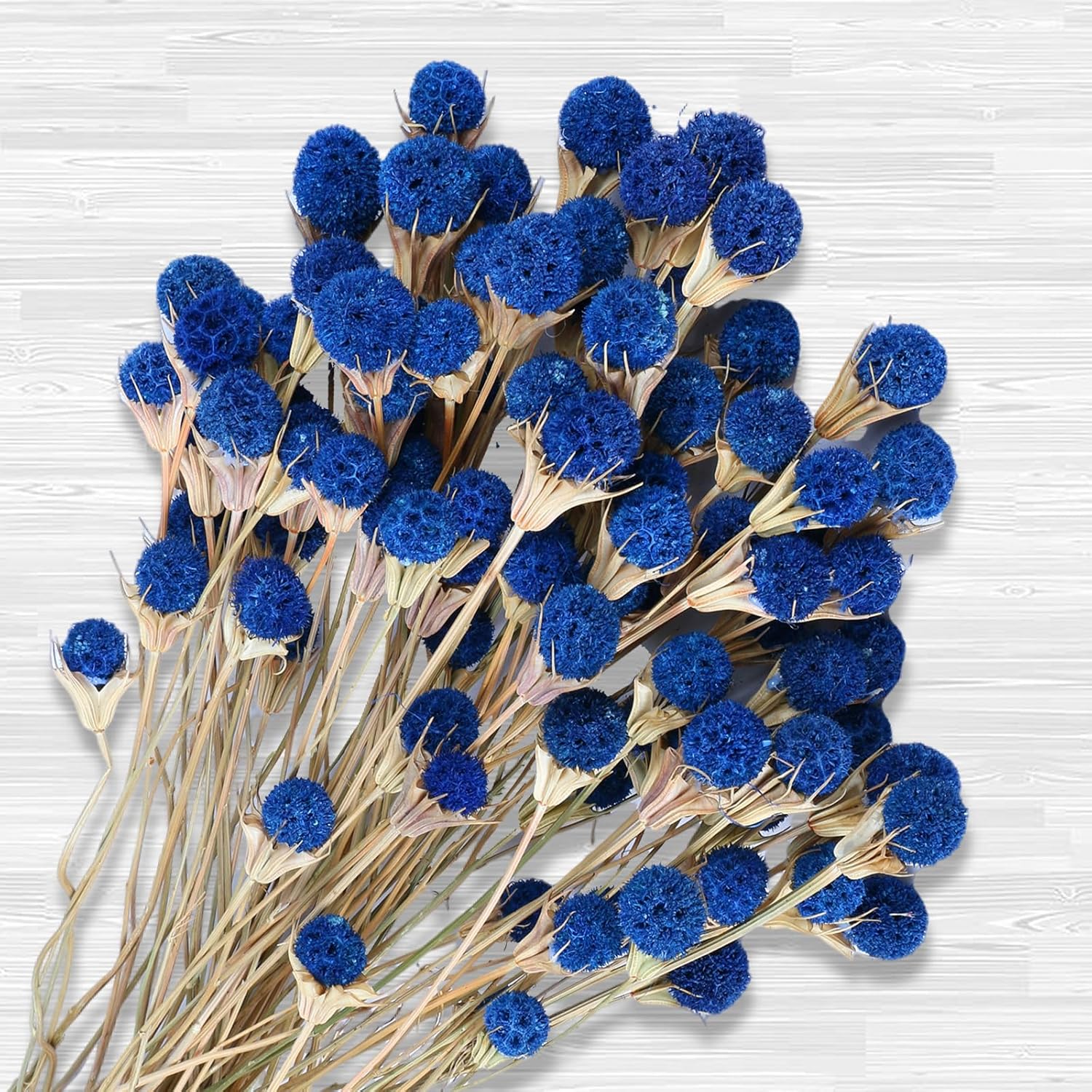 Dried & Preserved Flora - 50 Pcs Natural Blue Dried Thistle Flowers Bouquet, Bulk Dried Craspedia Billy Balls Button Plant, 17'' DIY Floral Arrangements for Home Boho Kitchen Table Wedding Vase Decor