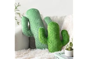 AELS Set of 2 Cactus Decorative Throw Pillows, 22"& 14" Cactus Plush Pillow Set, 3D Office Nap Pillow, Cute Succulent Throw Pillow for Nursery Bedroom Room Decor, Sage Green & Grass Green