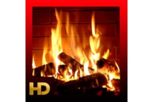Beautiful Log Fireplaces HD