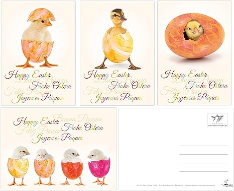 Divertente Set Di Cartoline Pasquali Con 12 Cartoline Di Pasqua 4 Motivi Da 3 Pezzi Ciascuno Amorevolmente Disegnati Da Edition Colibri Divertenti Biglietti D Auguri Per Pasqua 11065 11068 Amazon It Cancelleria E Prodotti Per Ufficio