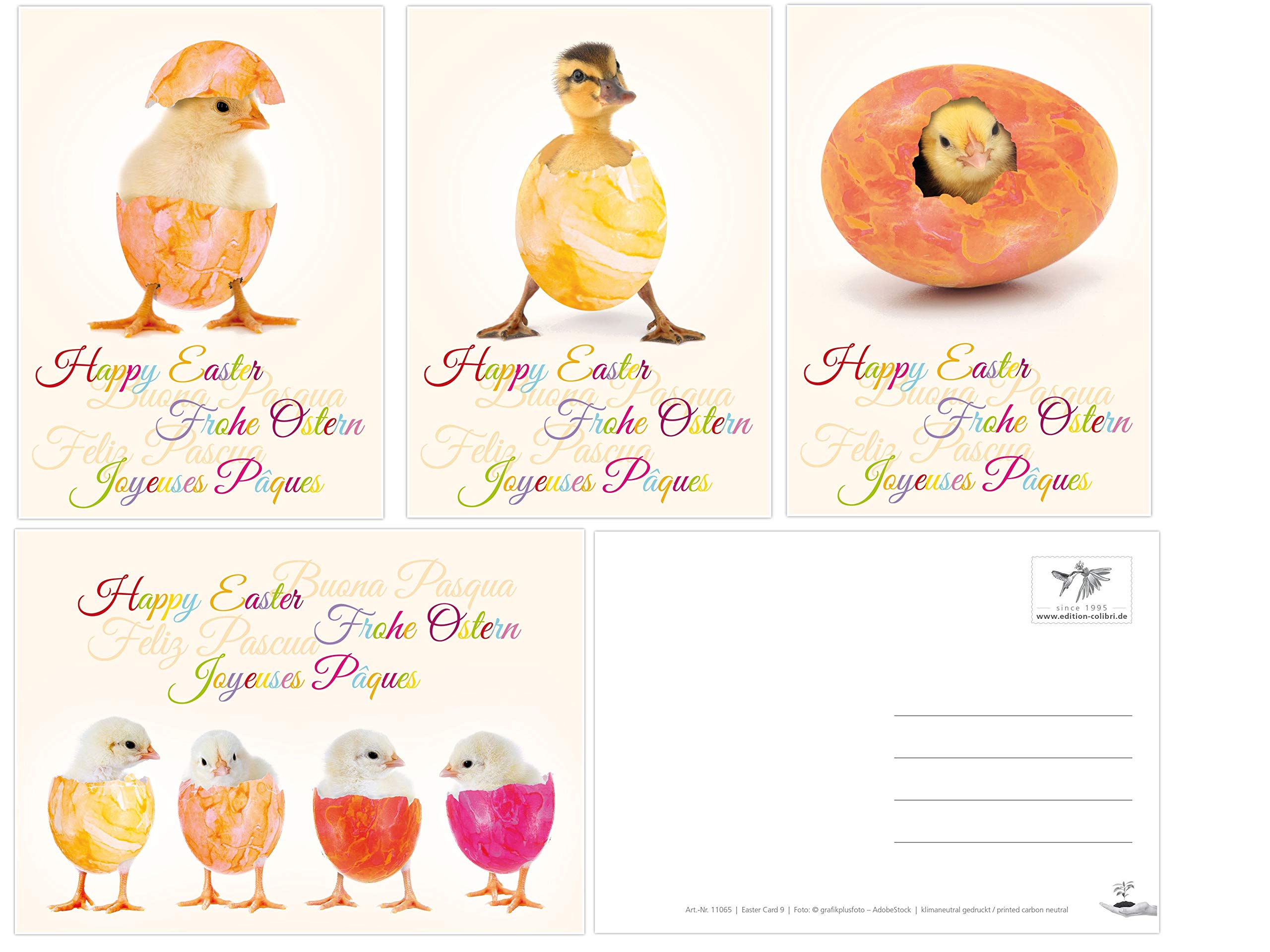 Edition Colibri Funny Easter card set with 12 Easter postcards (4 motifs with 3 pieces each), lovingly designed funny postcards for Easter (11065-11068)