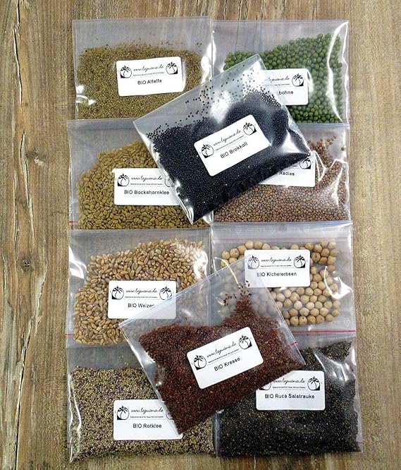 BIO Keimsprossen in Geschenkbox, 10 Sorten - perfekt für die Küche oder Präsent