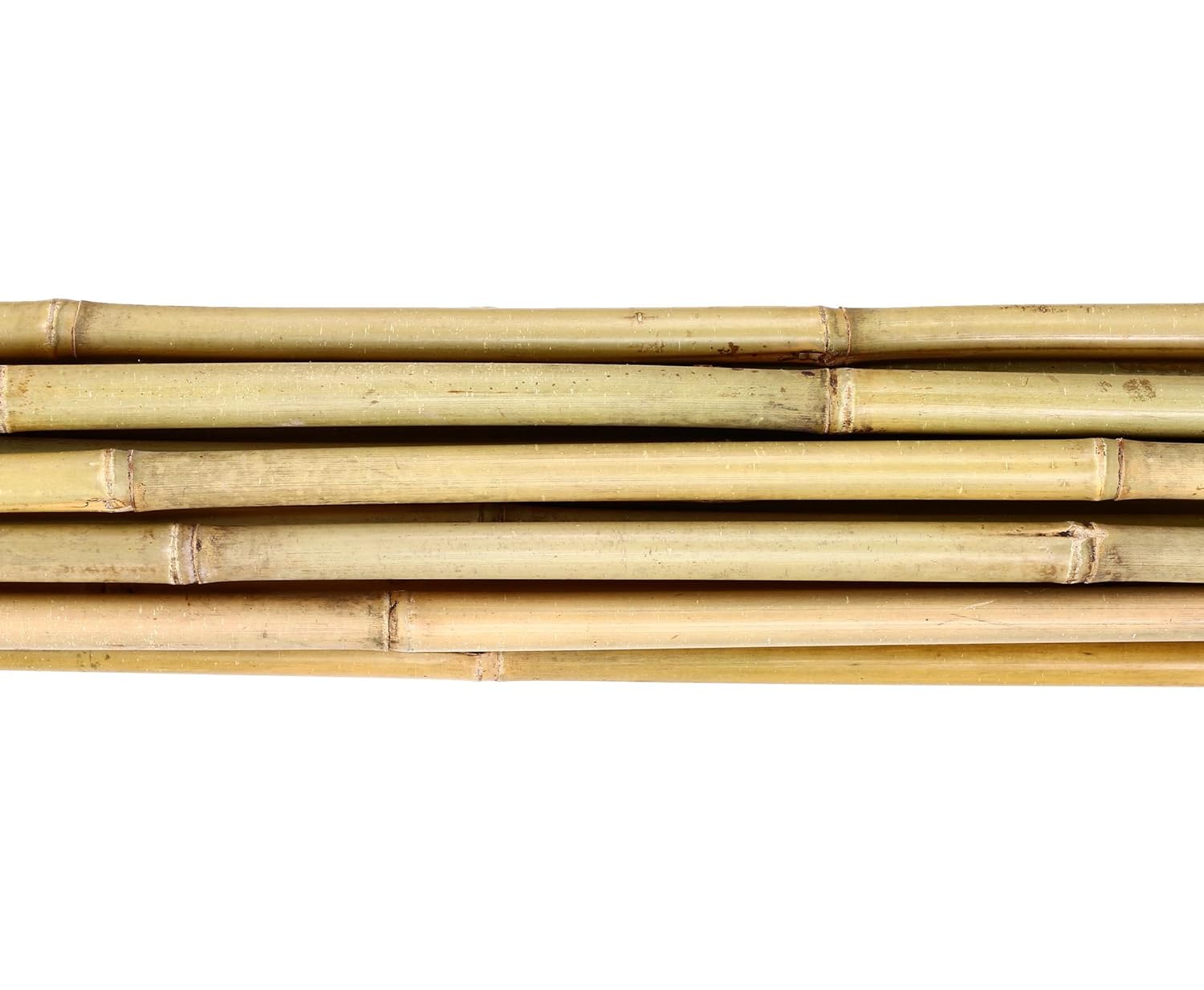 Bambusrohre Rohr aus Bambus 2,0 bis 2,2cm 1 Stück Bambusstab Tonkin