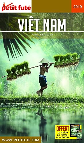Download Petit Futé Viêt Nam PDF