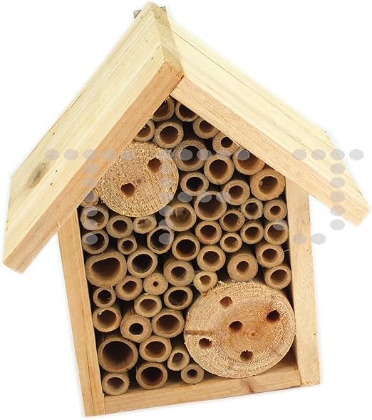 Caja de madera para refugio de insectos y abejas, pack de 1: Amazon.es: Hogar
