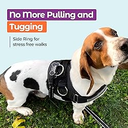 Joyride Basic Essential Dog Harness 1.0