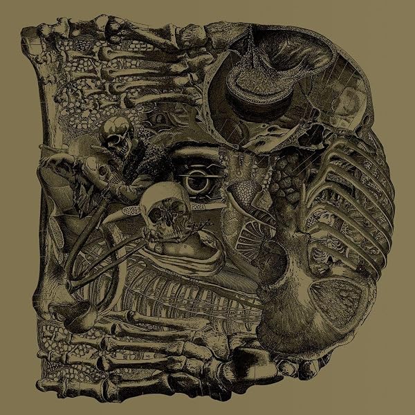 Boris - Attention Please - Amazon.com Music