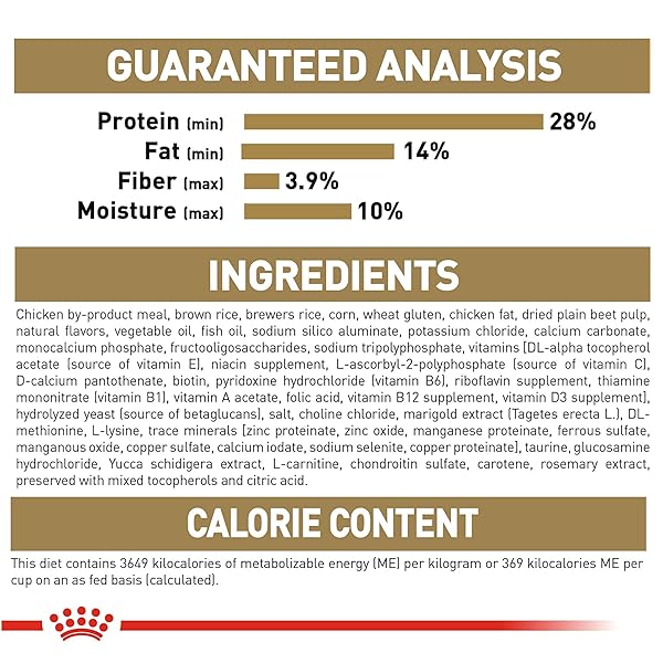 ROYAL CANIN BREED HEALTH NUTRITION DACHSHUND PUPPY DRY DOG FOOD, 2.5 LB BAG