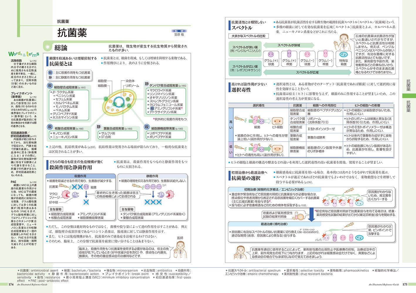 Mua 病気がみえる Vol 6 免疫 膠原病 感染症 Tren Amazon Nhật Chinh Hang 21 Fado