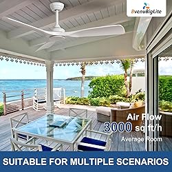 BvenuBigLite Ceiling Fan Without Light: 52 Inch