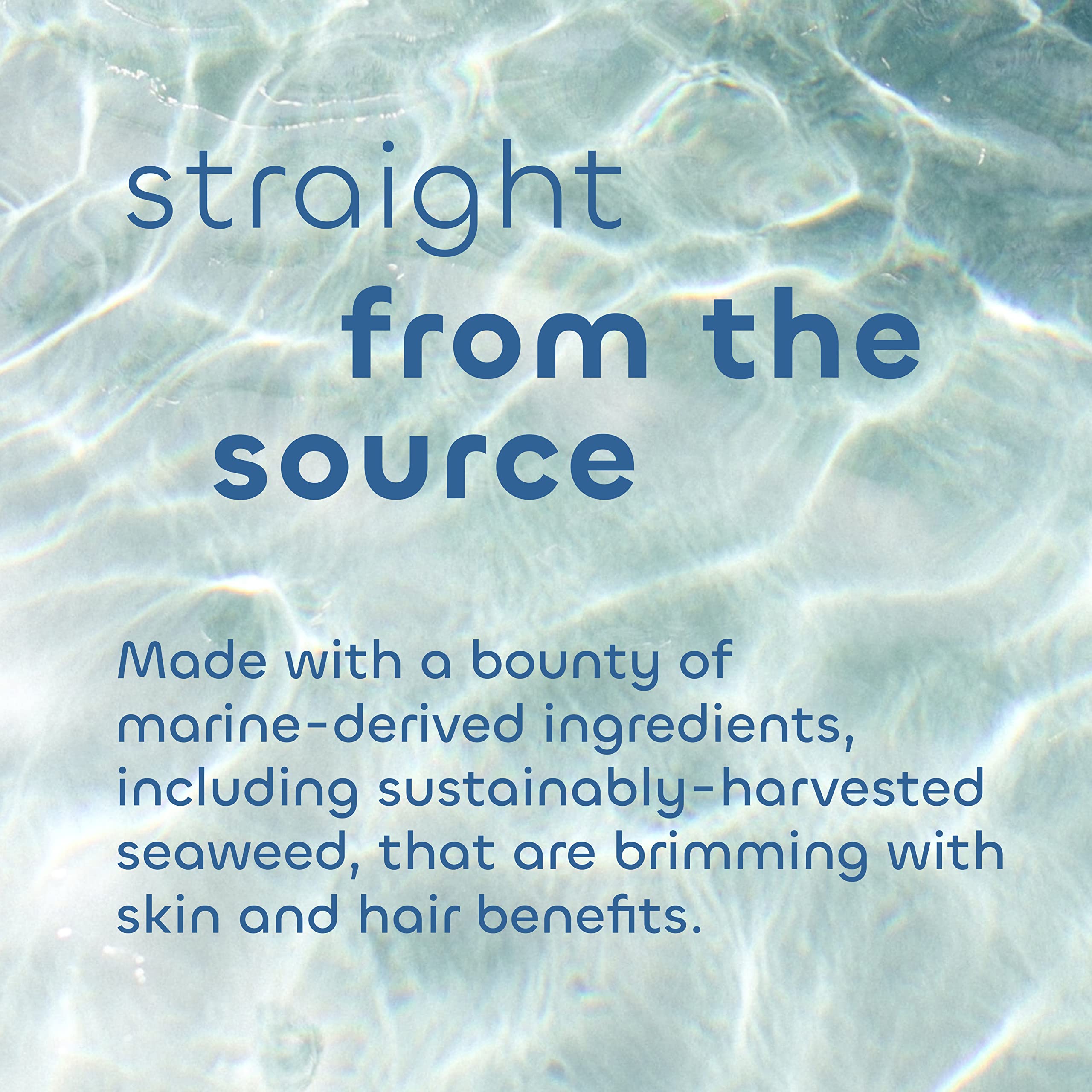 Seaweed Bath Co. Volumize Conditioner, Lavender Scent, 12 Ounce, Sustainably Harvested Seaweed, Green Algae, Barley Protein, For Normal to Fine Hair