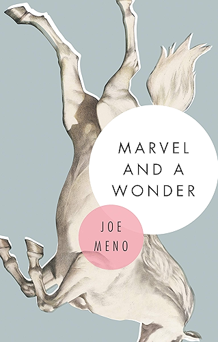 Download Marvel and a Wonder (English Edition) PDF