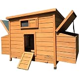 Rowlinson Chicken Coop Large Amazoncouk Pet Supplies