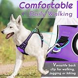 Eagloo Dog Harness Medium No Pull Front Back Clips Reflective Purple M view 4