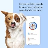 Wisdom Panel Breed Discovery Dog DNA Test Kit – MDR1, Ancestry, Relatives view 3