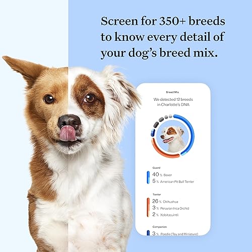 Ancestry Wisdom Panel Dog Dna Test Reviews Wisdom Panel Dog
