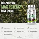 Insynergy Labs Olive Leaf Extract 30000MG 40% Oleuropein Capsules 60 Vegan view 5
