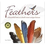 Feathers: A Beautiful Look at a Bird's Most Unique Feature (Nature Appreciation)