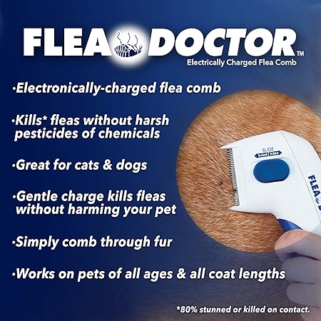 cheddar flea doctor