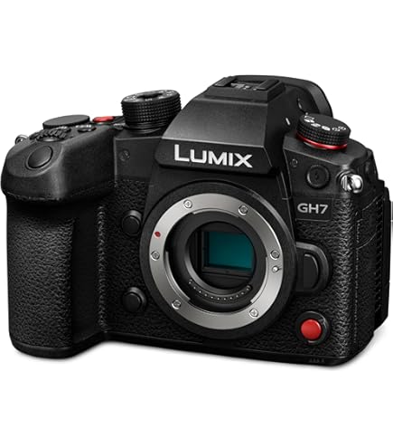 Amazon Canada: Panasonic LUMIX S5 Full Frame Mirrorless Camera, 4K