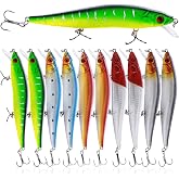 Sougayilang Fishing Lures Large Hard Bait Minnow VIB Lure with Treble Hook Life-Like Swimbait Fishing Bait Popper Crankbait Vibe Sinking Lure for Bass Trout Walleye Redfish