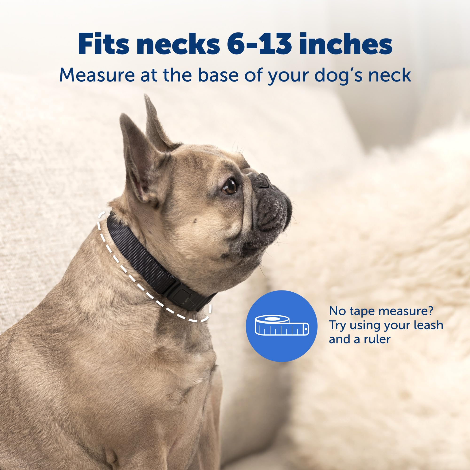 PetSafe NanoBark Collar - World's Smallest Bark Collar for Small and Medium Dogs, 10 Levels of Static Stimulation, Waterproof and Rechargeable Anti-Bark Training, Comfortable and Low-Profile Design
