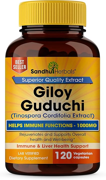 Amazon Com Giloy Immune Booster Guduchi Tinospora Cordifolia Supports Immune Health Well Being Vegetarian Capsules 120 Ct Health Personal Care