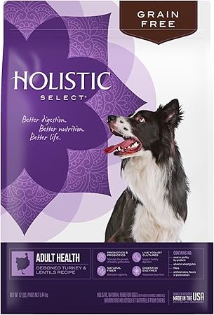 holistic grain free dog food