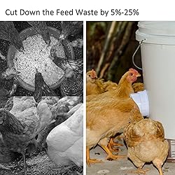 Automatic Chicken Feeder Set Hanging Chicken Feeder