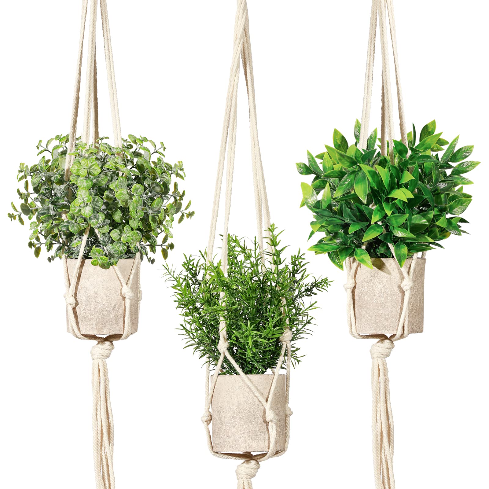Photo 1 of Artificial Plants 3 Pack Mini Fake Hanging with Macrame Plant Hangers Decorative Faux Greenery Decor for Shelves Wall Kitchen Farmhouse Bathroom Home Office