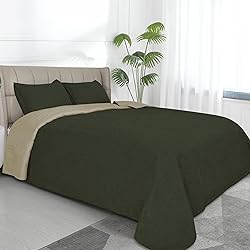 Easy-Going Twin Size Reversible Quilt Set with 1