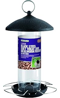 Wh Mealworm Bird Feeder 2 Port Amazon Co Uk Pet Supplies