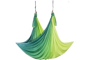 WELLSEM Aerial Yoga Hammock Aerial Pilates Silk Yoga Swing Set Inversion Equipment include daisy Chain, Pose Guide 5.5 yards