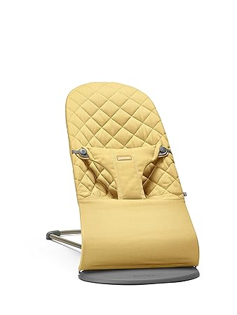 baby bjorn bouncer quilted