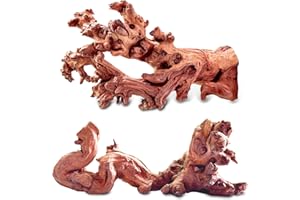 HEMYIS Natural Wood Driftwood Coral Driftwood for Aquarium Fish Tank Decor,Assorted Coral-Trunk Driftwood Branch for Reptile Decor (COL-SHM Driftwood Small (9 to12 Inch)-Pack of 2)