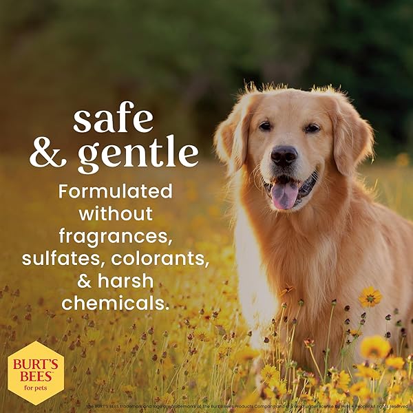 BURT’S BEES FOR PETS EYE & EAR CLEANSING WIPES FOR DOGS, FRAGRANCE-FREE, 98% NATURAL ORIGIN FORMULAS, GENTLE SPOT CLEANING SHEETS FOR DOG EYES AND EARS, 100 COUNT