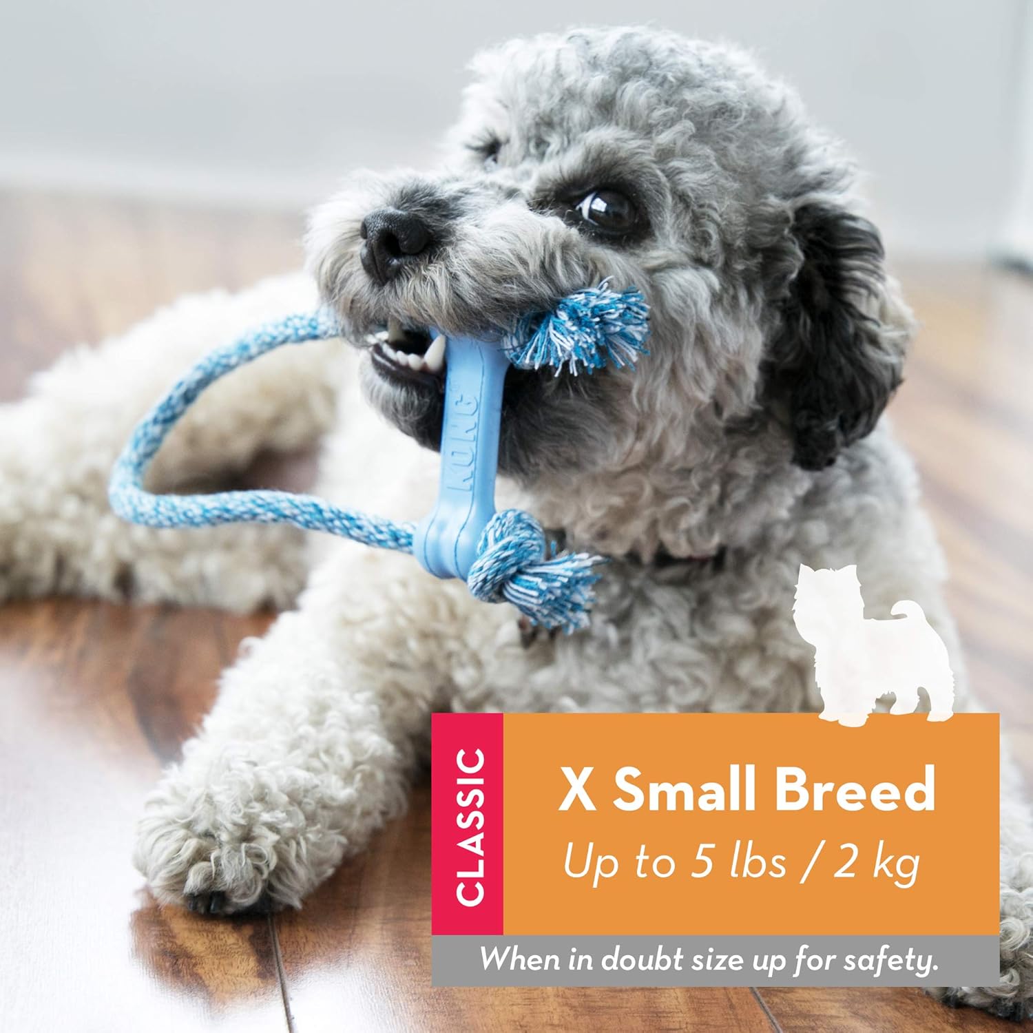 kong goodie bone with rope