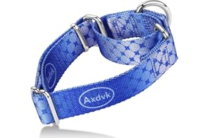 Axdvk Martingale Dog Collar Colorful Gradient Fashionable - Anti-Escape Soft Durable Pets Collar for Walking Training Outdoor Daily Use -Medium, Blue Ocean
