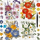 85Pcs Pressed Flowers for Crafts, Colorful Dried Flowers for Crafts Real Natural Dried Pressed Flowers Dry Leaves Bulk for Resin, DIY Art, Scrapbook, Jewelry, Card, Candle & Soap Making with Tweezers