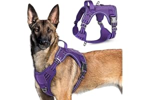 rabbitgoo Dog Harness No Pull, Military for Large Dogs with Handle & Molle, Easy Control Service Vest Training Walking, Adjus